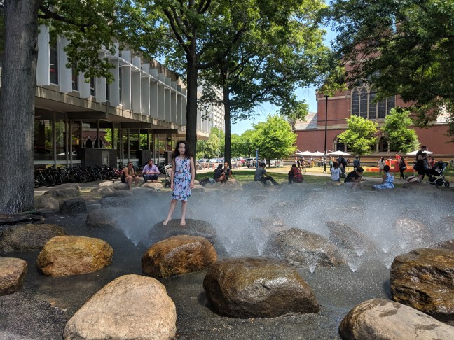 Harvard water fountain