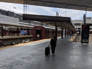 Amtrak rail